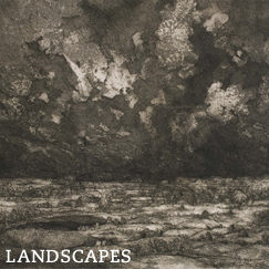 Landscapes